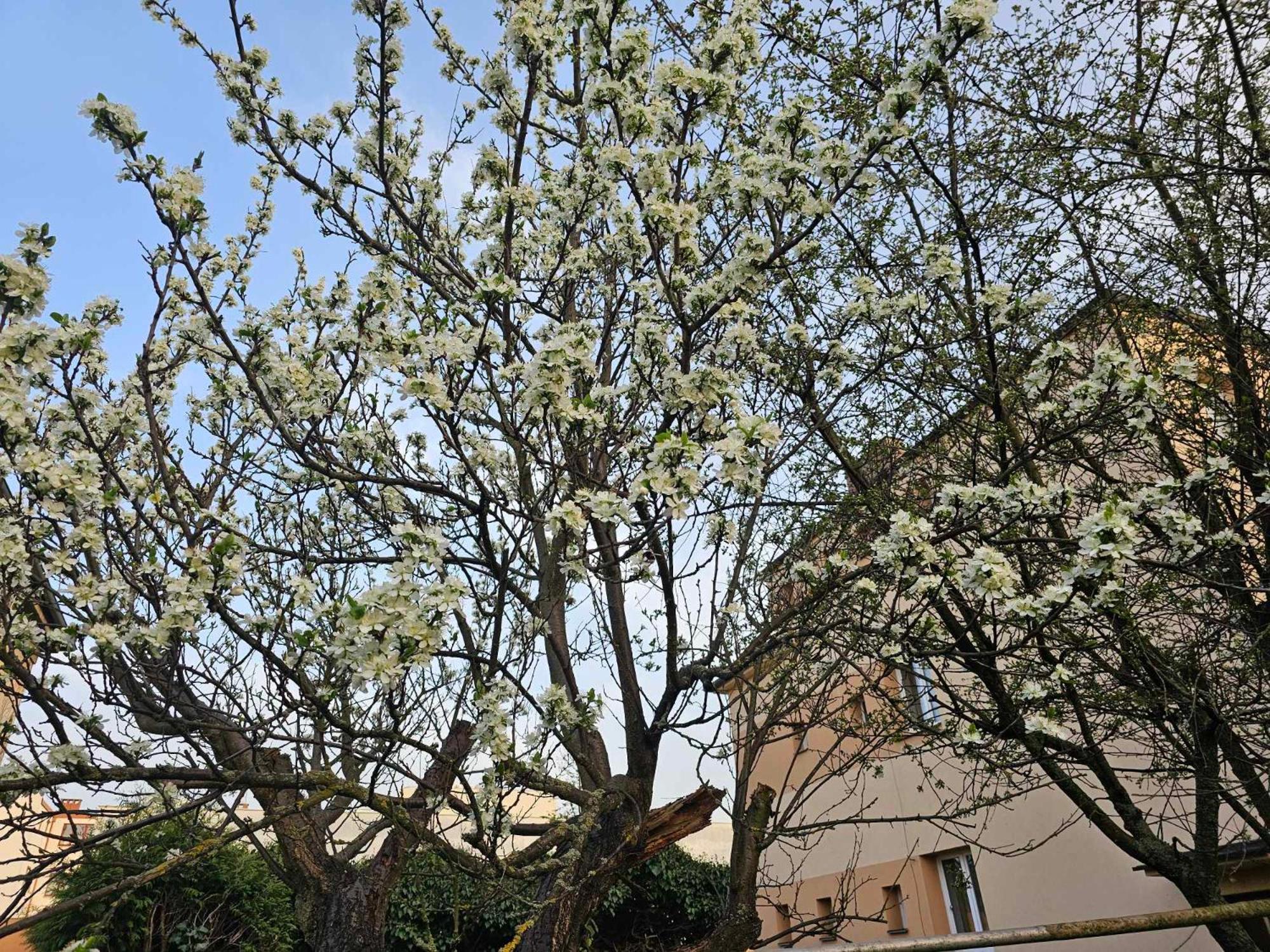 Slunny Byt V Klidne Casti Hradce Kralove - Zahrada, Parkovani Zdarma Hradec Králové Exteriér fotografie
